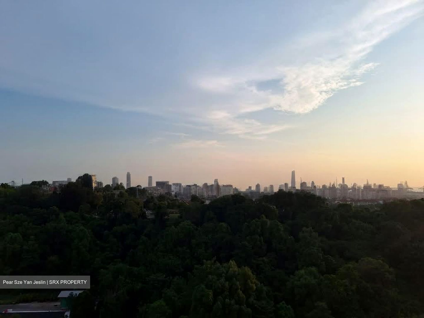 Normanton Park (D5), Apartment #578379851